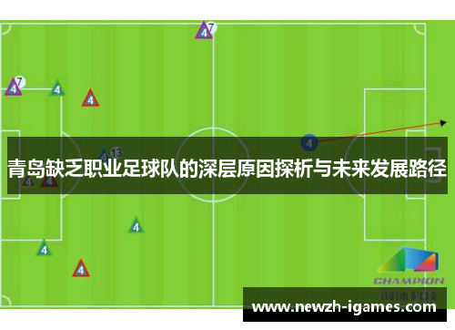 青岛缺乏职业足球队的深层原因探析与未来发展路径 青岛缺乏职业足球队的深层原因探析与未来发展路径
